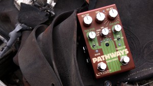 Pathways_OnSaddle